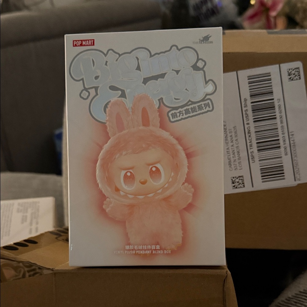 Pop Mart labubu Plush Box BIE